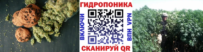 Canna-Cookies марихуана  Спасск-Дальний 