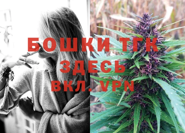 дживик Баксан