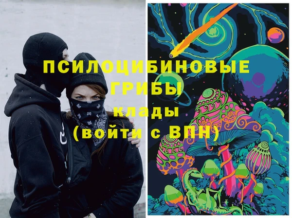 гидра Сафоново
