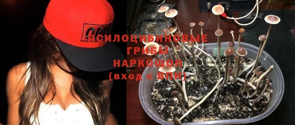 дживик Баксан